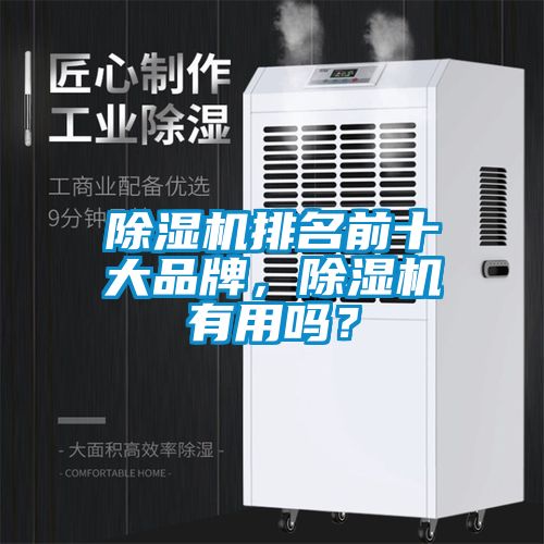 除濕機排名前十大品牌，除濕機有用嗎？