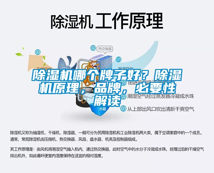 除濕機(jī)哪個(gè)牌子好？除濕機(jī)原理，品牌，必要性解讀