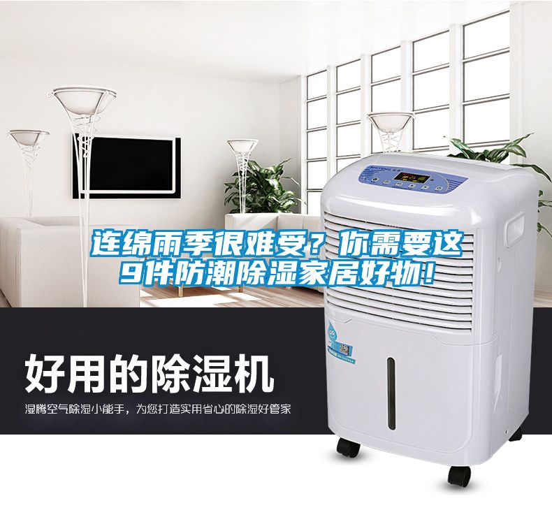 連綿雨季很難受？你需要這9件防潮除濕家居好物！