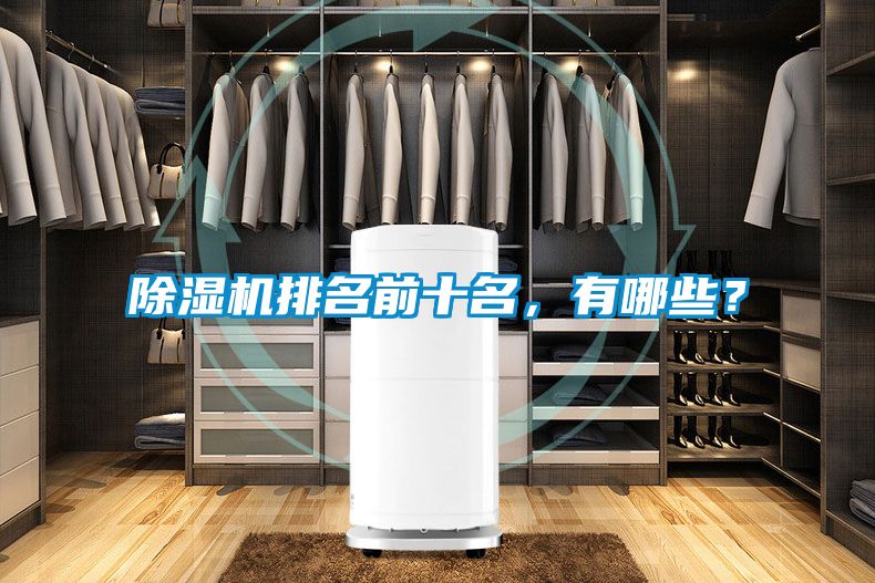 除濕機排名前十名，有哪些？