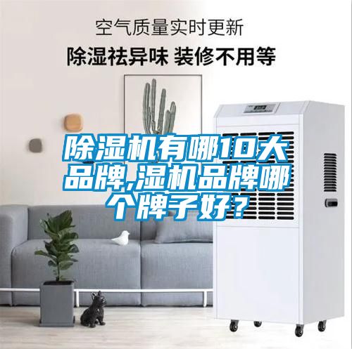 除濕機(jī)有哪10大品牌,濕機(jī)品牌哪個(gè)牌子好？