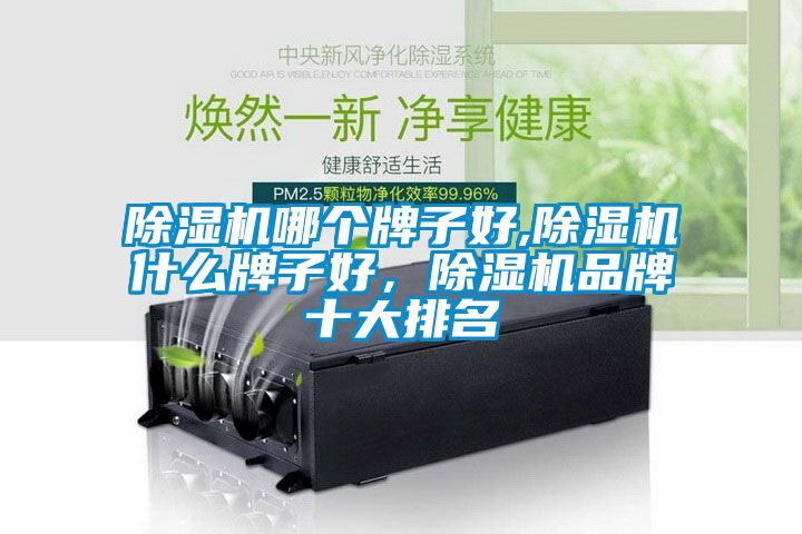 除濕機(jī)哪個牌子好,除濕機(jī)什么牌子好，除濕機(jī)品牌十大排名