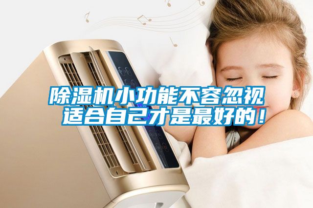 除濕機小功能不容忽視 適合自己才是最好的！