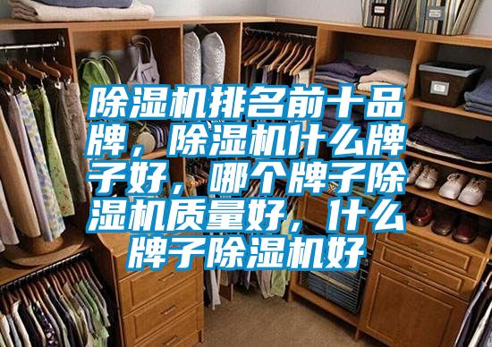 除濕機(jī)排名前十品牌，除濕機(jī)什么牌子好，哪個(gè)牌子除濕機(jī)質(zhì)量好，什么牌子除濕機(jī)好