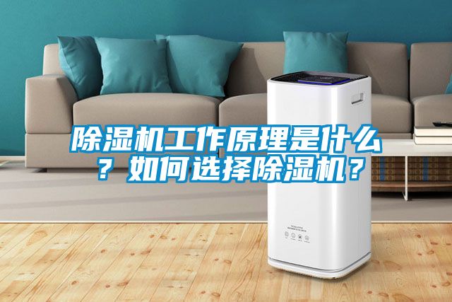 除濕機工作原理是什么？如何選擇除濕機？