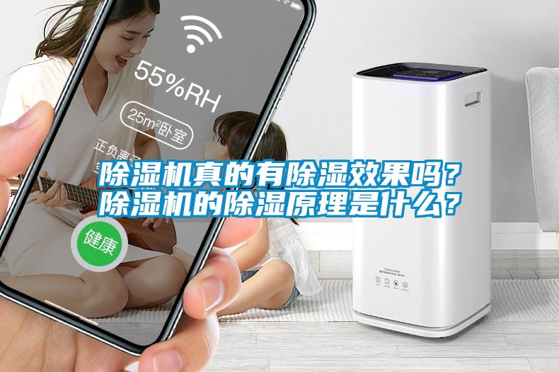 除濕機(jī)真的有除濕效果嗎？除濕機(jī)的除濕原理是什么？