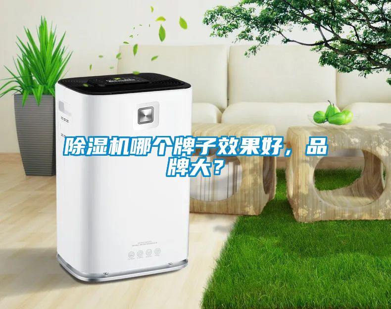 除濕機(jī)哪個(gè)牌子效果好，品牌大？