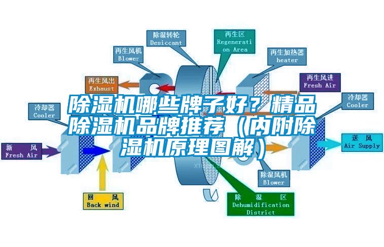 除濕機哪些牌子好？精品除濕機品牌推薦（內(nèi)附除濕機原理圖解）