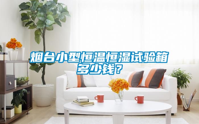 煙臺(tái)小型恒溫恒濕試驗(yàn)箱多少錢？