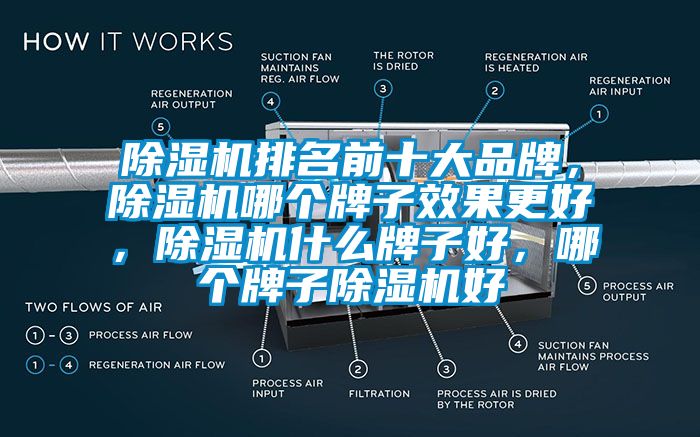 除濕機(jī)排名前十大品牌，除濕機(jī)哪個(gè)牌子效果更好，除濕機(jī)什么牌子好，哪個(gè)牌子除濕機(jī)好