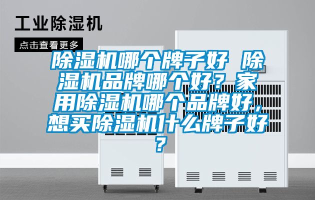 除濕機(jī)哪個(gè)牌子好 除濕機(jī)品牌哪個(gè)好？家用除濕機(jī)哪個(gè)品牌好，想買除濕機(jī)什么牌子好？
