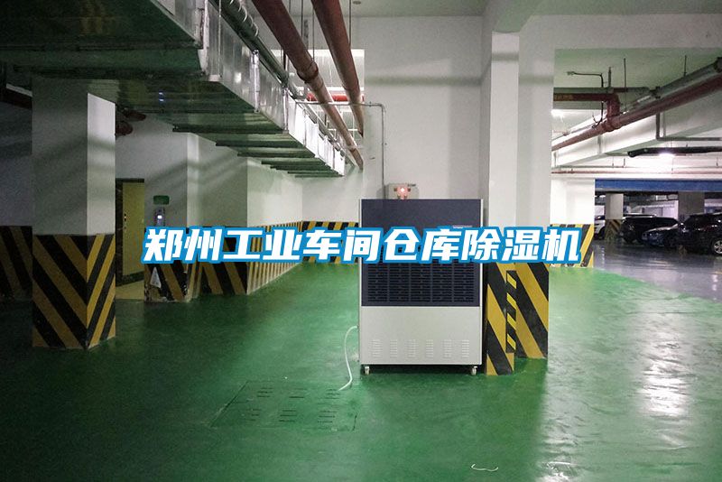 鄭州工業(yè)車間倉(cāng)庫除濕機(jī)