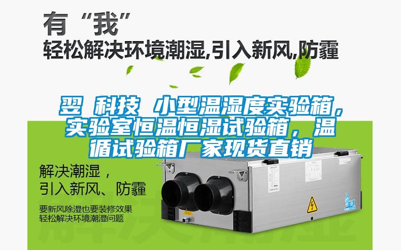 翌昇科技 小型溫濕度實(shí)驗(yàn)箱，實(shí)驗(yàn)室恒溫恒濕試驗(yàn)箱，溫循試驗(yàn)箱廠家現(xiàn)貨直銷