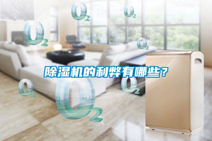 除濕機(jī)的利弊有哪些？