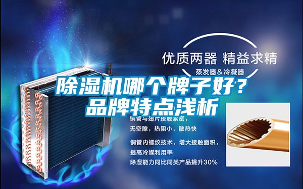 除濕機哪個牌子好？品牌特點淺析