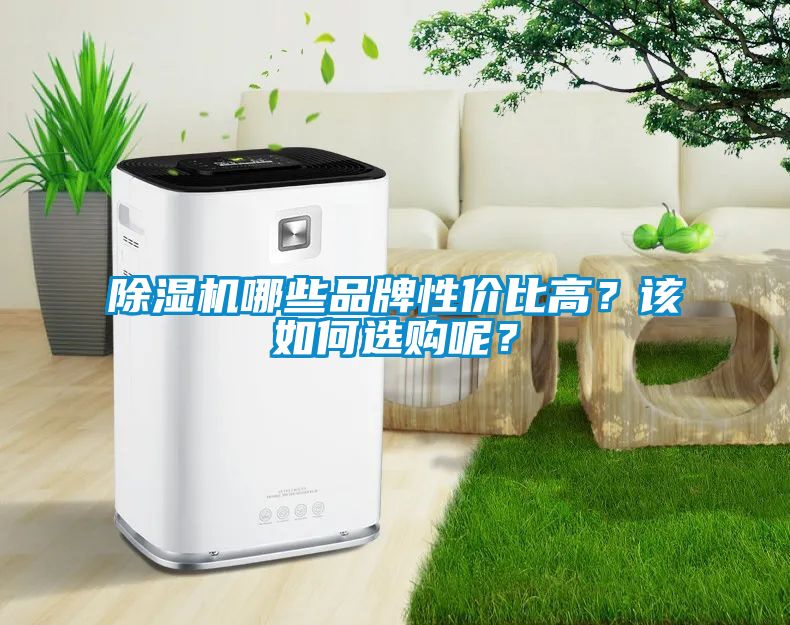 除濕機哪些品牌性價比高？該如何選購呢？