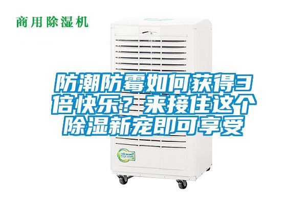 防潮防霉如何獲得3倍快樂？來接住這個除濕新寵即可享受