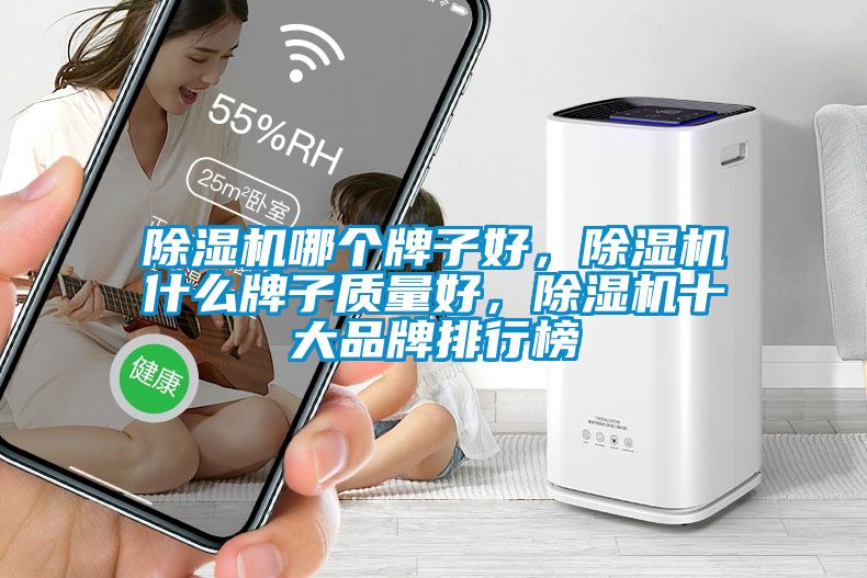 除濕機哪個牌子好，除濕機什么牌子質(zhì)量好，除濕機十大品牌排行榜