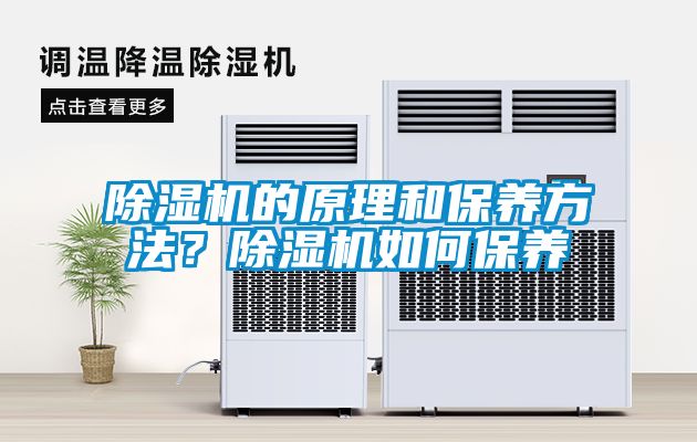 除濕機的原理和保養(yǎng)方法？除濕機如何保養(yǎng)