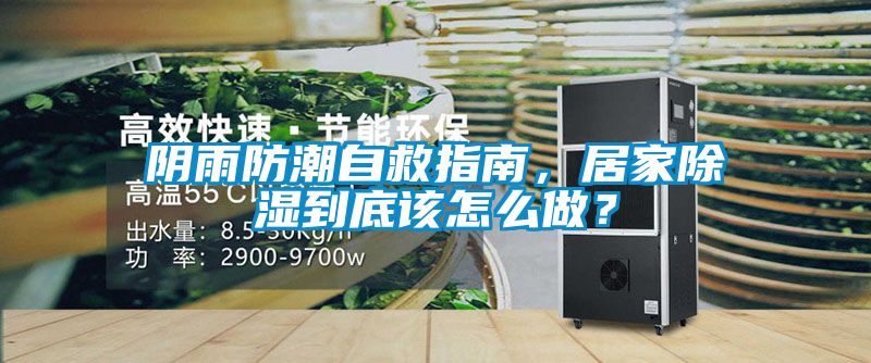 陰雨防潮自救指南，居家除濕到底該怎么做？