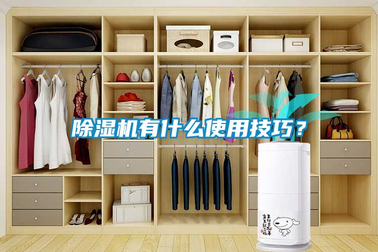 除濕機(jī)有什么使用技巧？