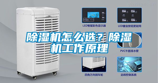 除濕機(jī)怎么選？除濕機(jī)工作原理