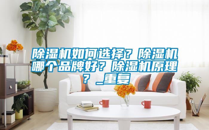 除濕機(jī)如何選擇？除濕機(jī)哪個(gè)品牌好？除濕機(jī)原理？_重復(fù)
