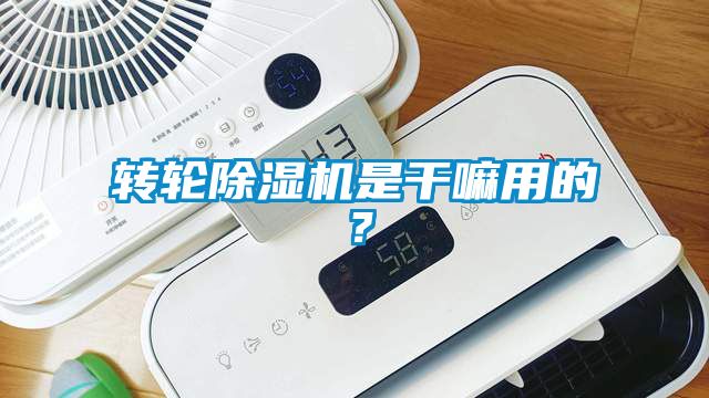 轉輪除濕機是干嘛用的？