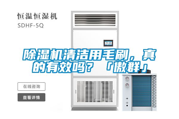 除濕機(jī)清潔用毛刷，真的有效嗎？「傲群」