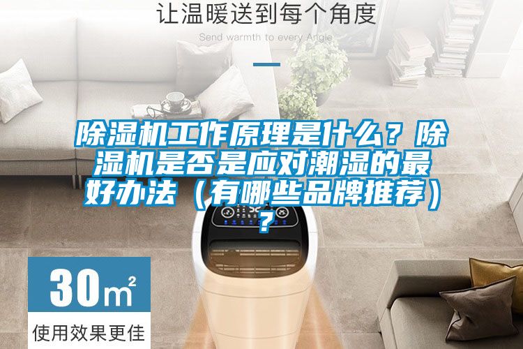 除濕機(jī)工作原理是什么？除濕機(jī)是否是應(yīng)對(duì)潮濕的最好辦法（有哪些品牌推薦）？
