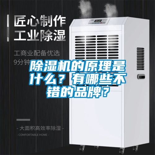 除濕機的原理是什么？有哪些不錯的品牌？
