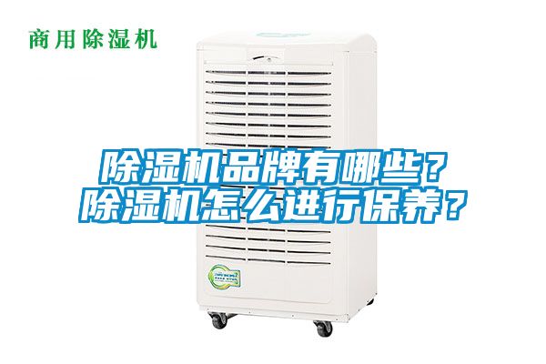 除濕機品牌有哪些？除濕機怎么進行保養(yǎng)？