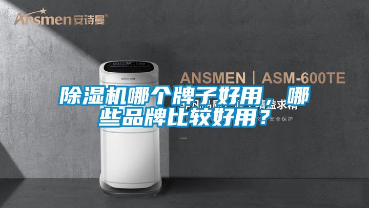 除濕機(jī)哪個牌子好用，哪些品牌比較好用？