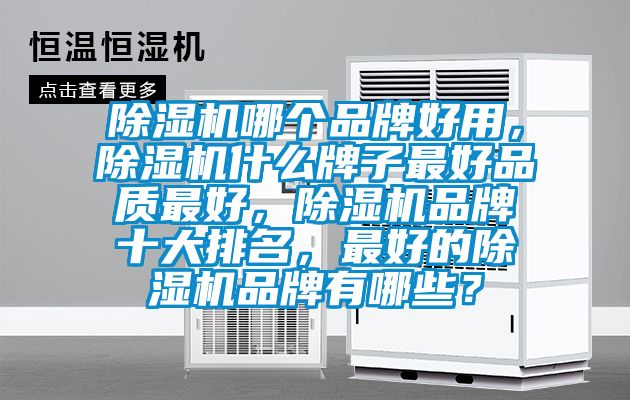 除濕機(jī)哪個(gè)品牌好用，除濕機(jī)什么牌子最好品質(zhì)最好，除濕機(jī)品牌十大排名，最好的除濕機(jī)品牌有哪些？