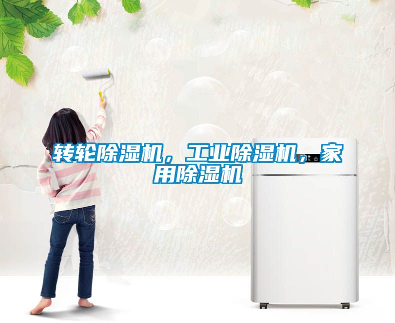 轉(zhuǎn)輪除濕機，工業(yè)除濕機，家用除濕機