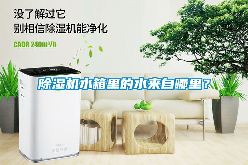 除濕機(jī)水箱里的水來(lái)自哪里？