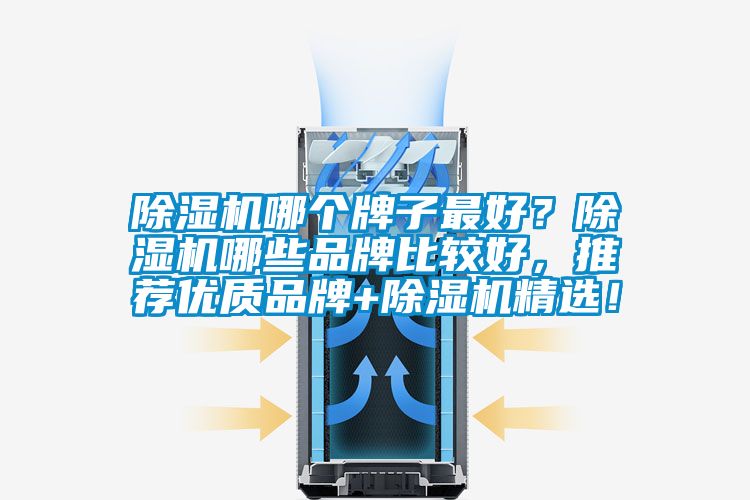 除濕機哪個牌子最好？除濕機哪些品牌比較好，推薦優(yōu)質(zhì)品牌+除濕機精選！