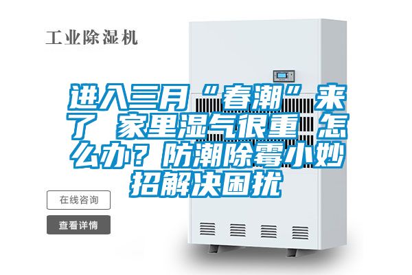 進入三月“春潮”來了 家里濕氣很重 怎么辦？防潮除霉小妙招解決困擾