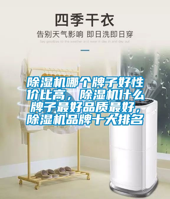 除濕機(jī)哪個牌子好性價比高，除濕機(jī)什么牌子最好品質(zhì)最好，除濕機(jī)品牌十大排名