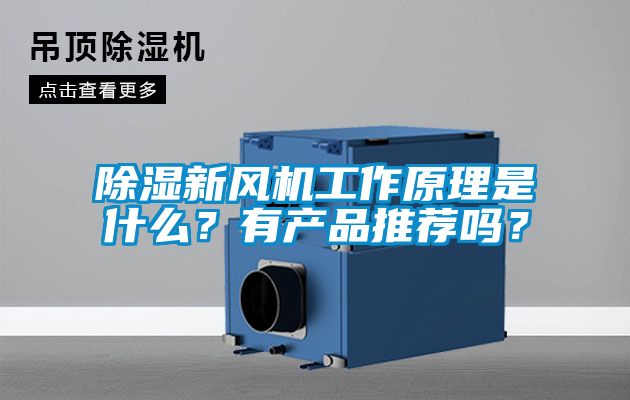 除濕新風(fēng)機(jī)工作原理是什么？有產(chǎn)品推薦嗎？