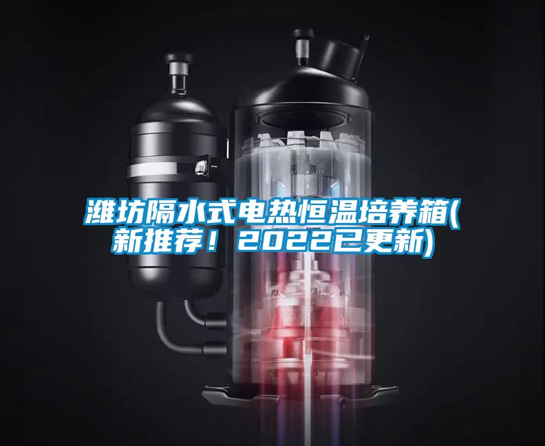 濰坊隔水式電熱恒溫培養(yǎng)箱(新推薦！2022已更新)