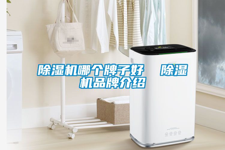 除濕機(jī)哪個牌子好  除濕機(jī)品牌介紹