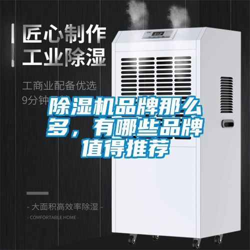 除濕機品牌那么多，有哪些品牌值得推薦
