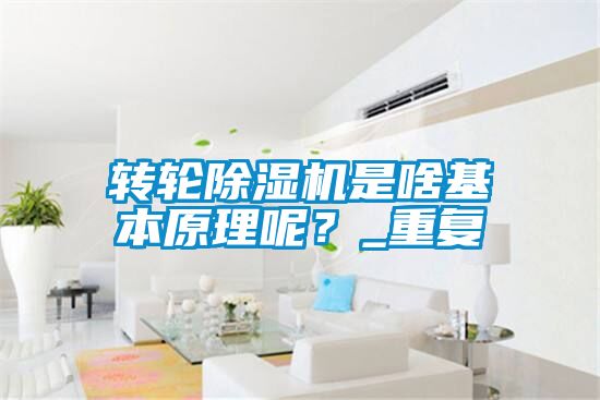 轉輪除濕機是啥基本原理呢？_重復