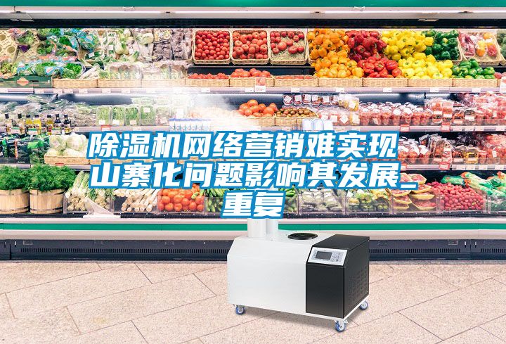 除濕機網絡營銷難實現 山寨化問題影響其發(fā)展_重復