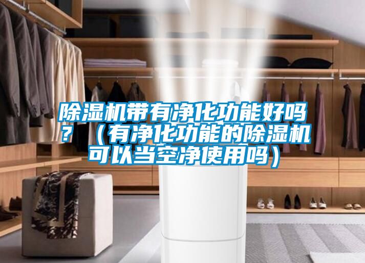 除濕機(jī)帶有凈化功能好嗎？（有凈化功能的除濕機(jī)可以當(dāng)空凈使用嗎）