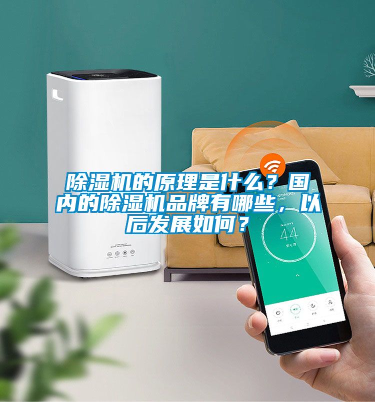 除濕機的原理是什么？國內(nèi)的除濕機品牌有哪些，以后發(fā)展如何？