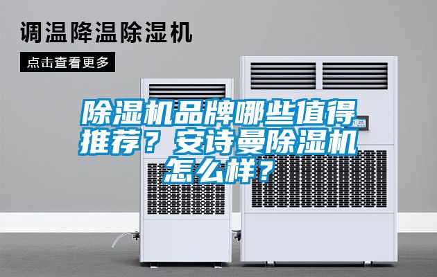 除濕機(jī)品牌哪些值得推薦？安詩曼除濕機(jī)怎么樣？