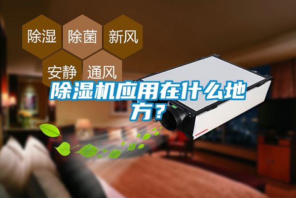 除濕機(jī)應(yīng)用在什么地方？