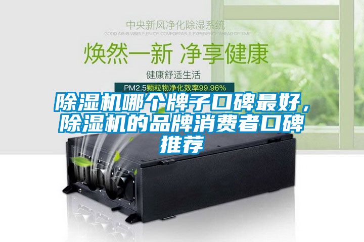 除濕機(jī)哪個(gè)牌子口碑最好，除濕機(jī)的品牌消費(fèi)者口碑推薦